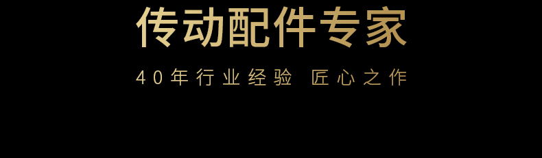 40年齿条传动配件专家品质保障